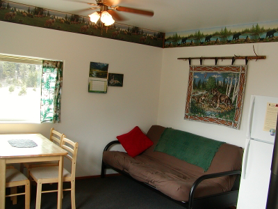 Living Area in Cabin / Cottage