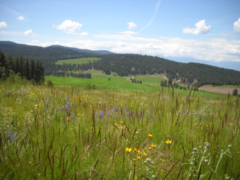 Space to hike with great views at Eden Valley.