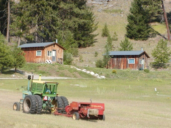 Pat Stice bales small field by cabins