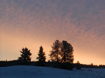 Another Golden Morning at Eden Valley
