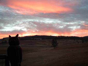 The Sunrise Beauty at Eden Valley is Always Different